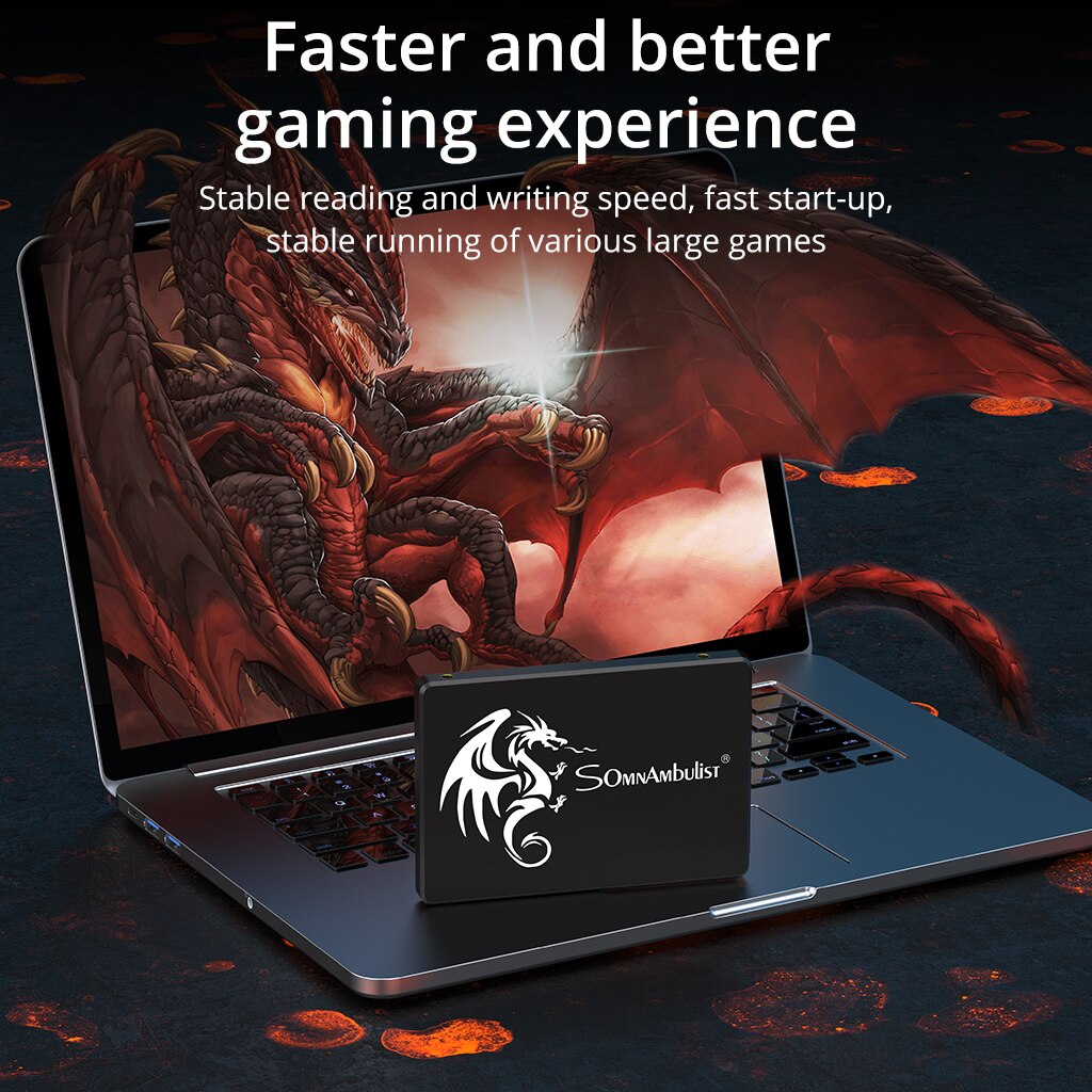 SomnAmbulist SSD 120GB 240GB 4 - Samsung Ssd Evo 870 리뷰 및 가격